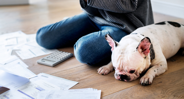 person sitting with their dog on the floor looking at paperwork and a calculator