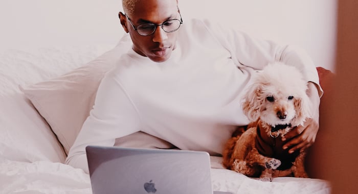 person looking at their laptop