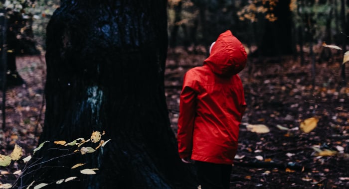 person in red jacket looking up at a tree