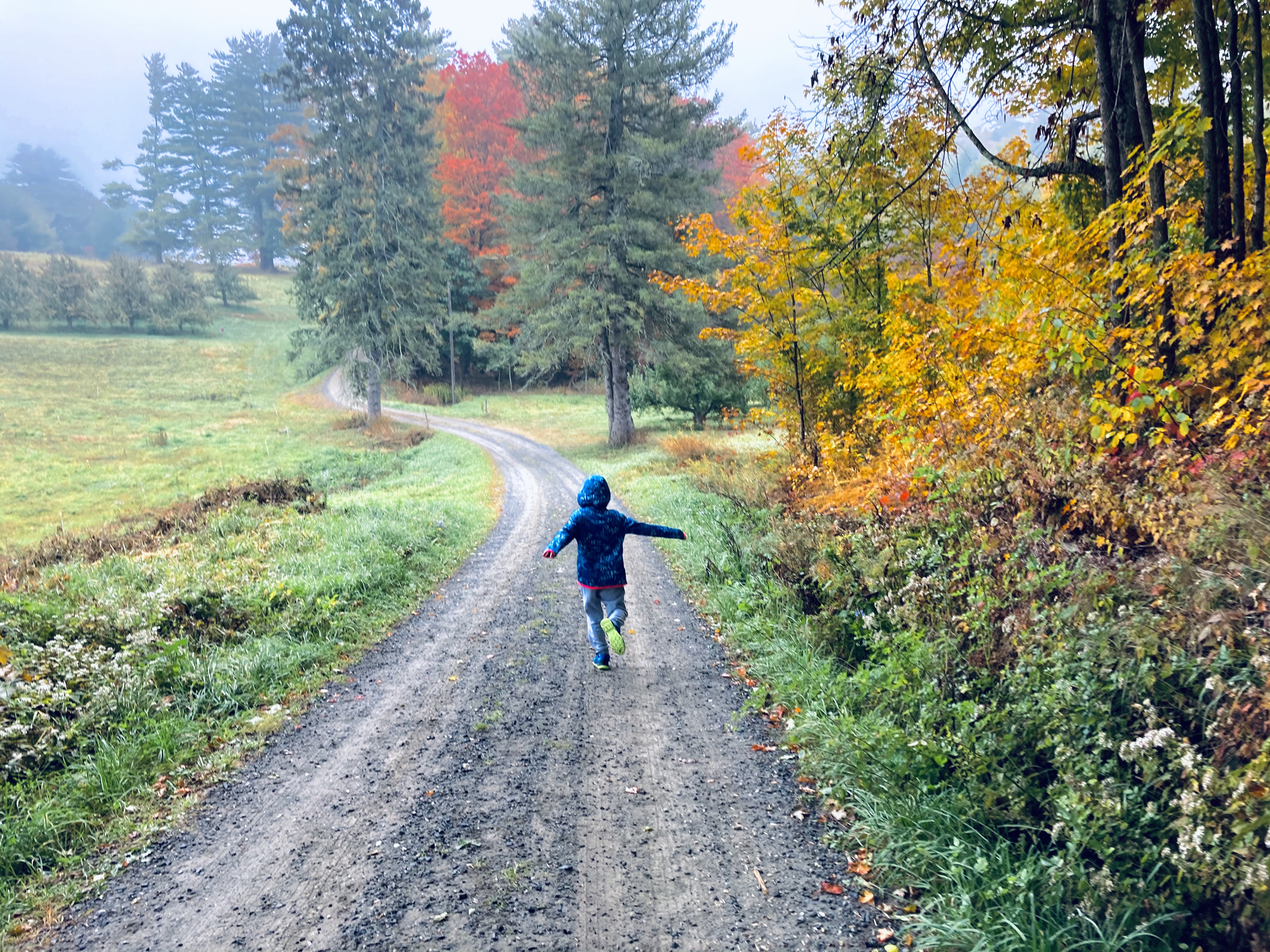 Child running down a bath bordered by fall foliage in Vermont