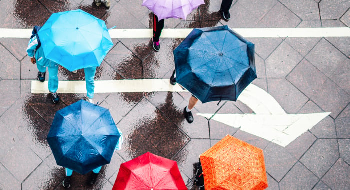 Colorful umbrellas in the street.