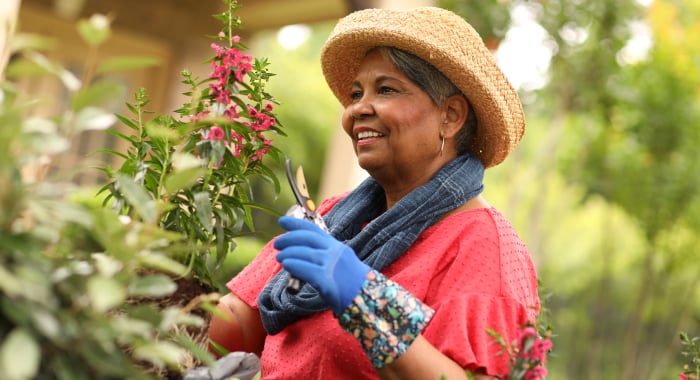 Person gardening