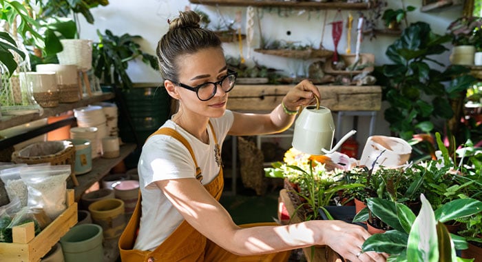 person watering plants